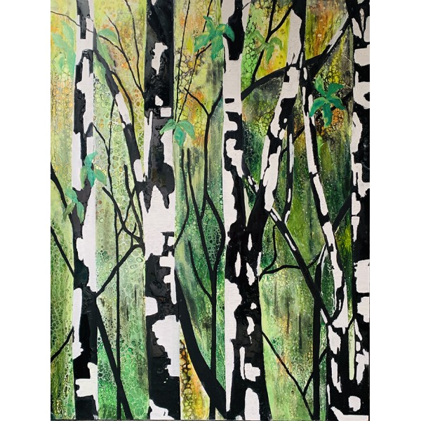 Birch And Forest - By Rachel Jeffrey